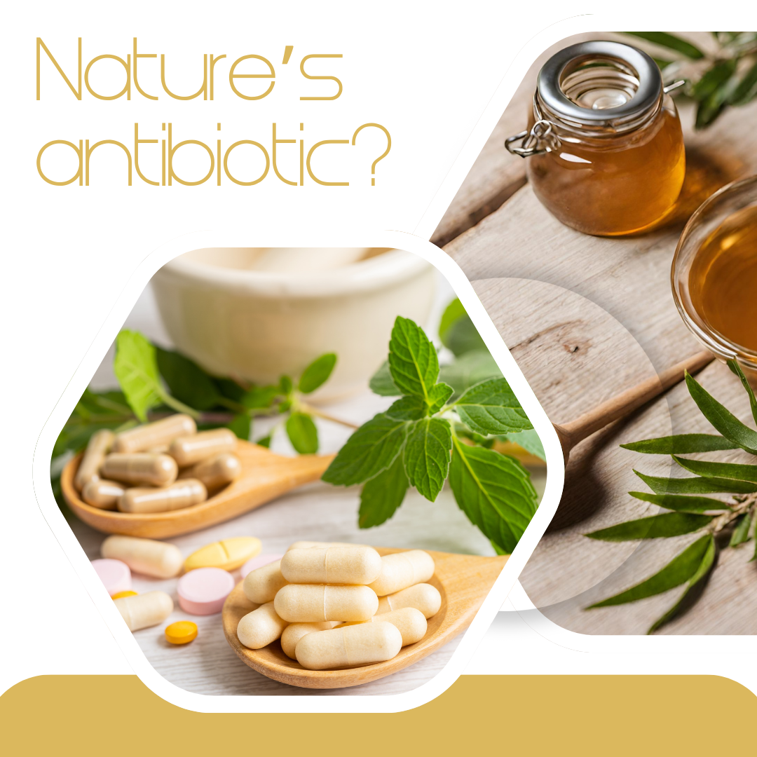 Is Manuka honey nature’s antibiotic?