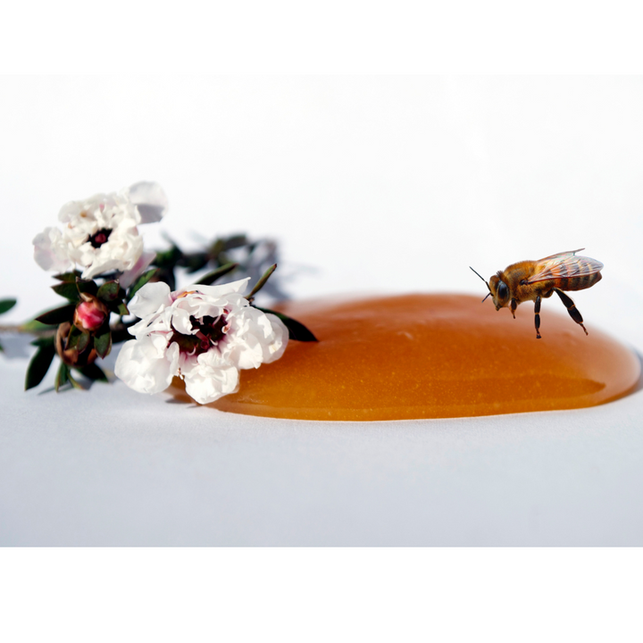 Premium Manuka Honey Collection MGO 1650